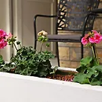 Ap Apartment
